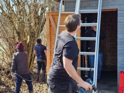 whatsapp image 2026-03-19 at 18.09.42 3